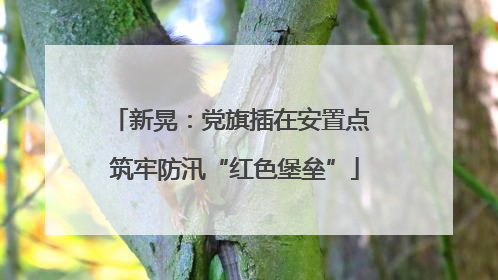 新晃：党旗插在安置点 筑牢防汛“红色堡垒”