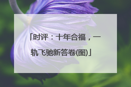 时评：十年合福，一轨飞驰新答卷(图)