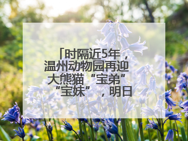 时隔近5年，温州动物园再迎大熊猫“宝弟”“宝妹”，明日正式开馆！