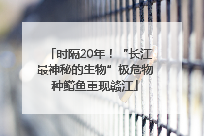 时隔20年！“长江最神秘的生物”极危物种鳤鱼重现赣江