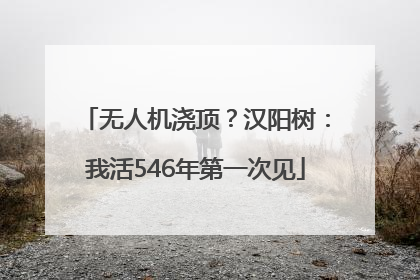 无人机浇顶？汉阳树：我活546年第一次见