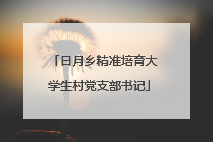 日月乡精准培育大学生村党支部书记