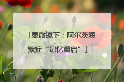 显微镜下：阿尔茨海默症“记忆重启”
