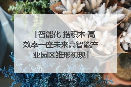 智能化 搭积木 高效率一座未来高智能产业园区雏形初现