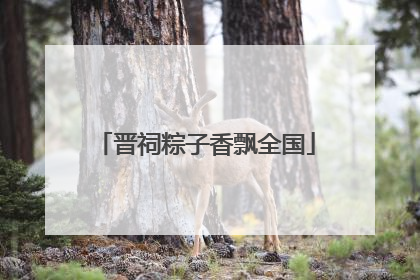 晋祠粽子香飘全国