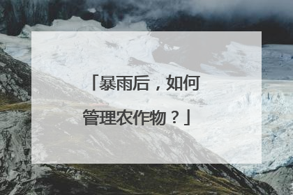 暴雨后，如何管理农作物？