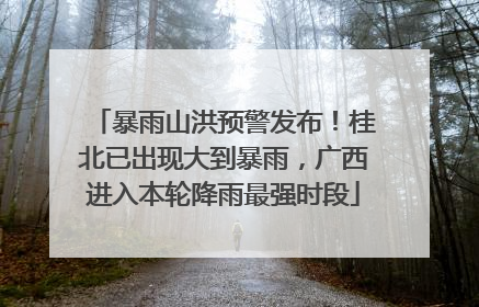 暴雨山洪预警发布！桂北已出现大到暴雨，广西进入本轮降雨最强时段
