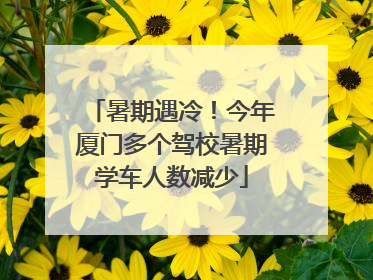 暑期遇冷！今年厦门多个驾校暑期学车人数减少