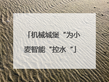 机械城堡“为小麦智能“控水“