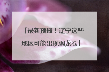 最新预报！辽宁这些地区可能出现弱龙卷