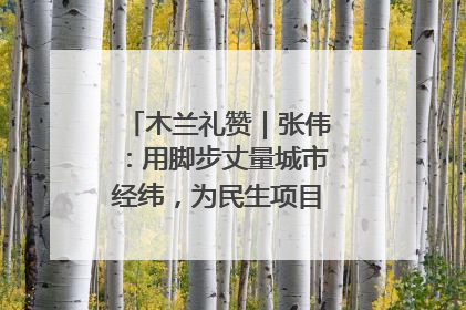 木兰礼赞｜张伟：用脚步丈量城市经纬，为民生项目按下“加速键”
