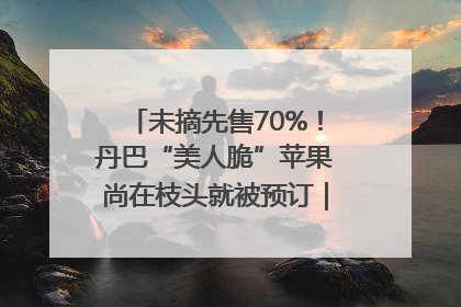 未摘先售70%！丹巴“美人脆”苹果尚在枝头就被预订｜长征路上看四川