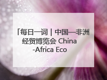 每日一词｜中国—非洲经贸博览会 China-Africa Economic and Trade Expo