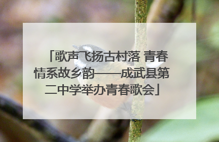 歌声飞扬古村落 青春情系故乡韵——成武县第二中学举办青春歌会