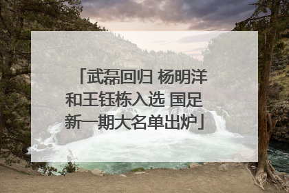 武磊回归 杨明洋和王钰栋入选 国足新一期大名单出炉