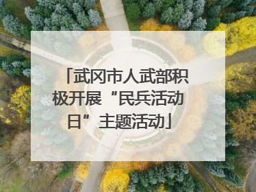 武冈市人武部积极开展“民兵活动日”主题活动
