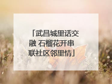 武昌城里话交融 石榴花开串联社区邻里情