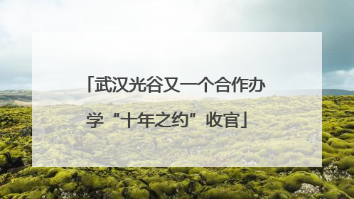 武汉光谷又一个合作办学“十年之约”收官