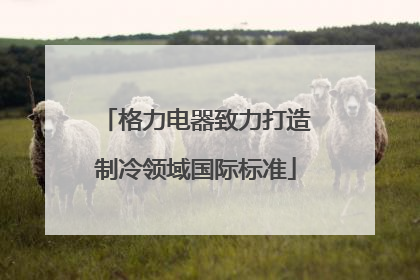 格力电器致力打造制冷领域国际标准