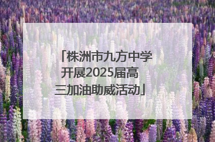 株洲市九方中学开展2025届高三加油助威活动