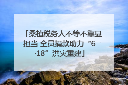 桑植税务人不等不靠显担当 全员捐款助力“6·18”洪灾重建