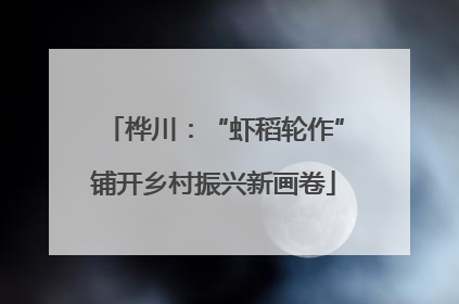 桦川：“虾稻轮作”铺开乡村振兴新画卷