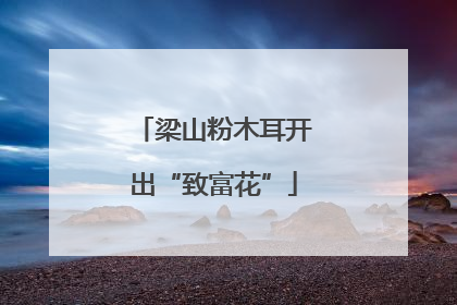 梁山粉木耳开出“致富花”