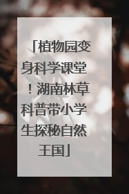 植物园变身科学课堂！湖南林草科普带小学生探秘自然王国