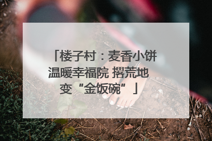 楼子村：麦香小饼温暖幸福院 撂荒地变“金饭碗”