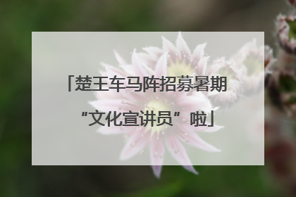 楚王车马阵招募暑期“文化宣讲员”啦