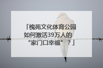槐苑文化体育公园如何激活39万人的“家门口幸福”？