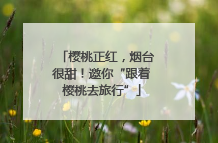 樱桃正红，烟台很甜！邀你“跟着樱桃去旅行”