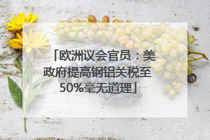 欧洲议会官员：美政府提高钢铝关税至50%毫无道理