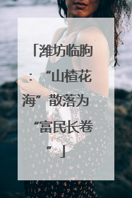 潍坊临朐：“山楂花海”散落为“富民长卷”