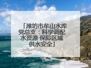 潍坊市牟山水库党总支：科学调配水资源 保障区域供水安全