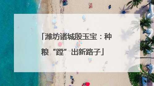 潍坊诸城殷玉宝：种粮“蹚”出新路子