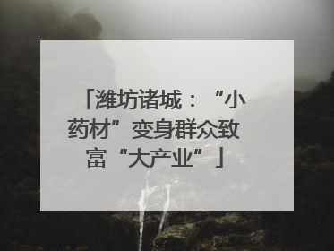 潍坊诸城：“小药材”变身群众致富“大产业”