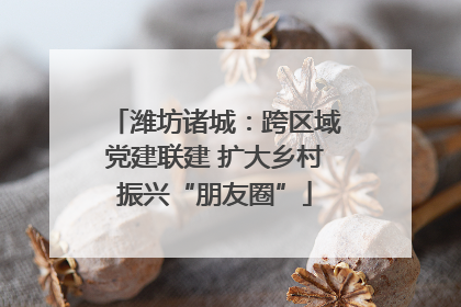 潍坊诸城：跨区域党建联建 扩大乡村振兴“朋友圈”
