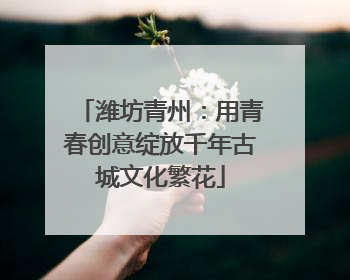 潍坊青州：用青春创意绽放千年古城文化繁花