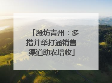 潍坊青州：多措并举打通销售渠道助农增收