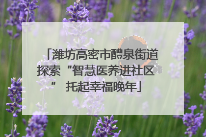 潍坊高密市醴泉街道探索“智慧医养进社区” 托起幸福晚年