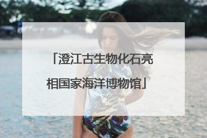 澄江古生物化石亮相国家海洋博物馆