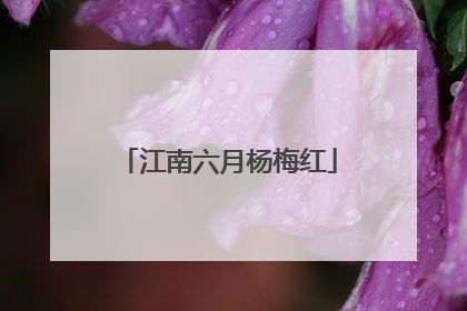 江南六月杨梅红