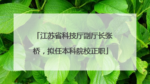 江苏省科技厅副厅长张桥，拟任本科院校正职