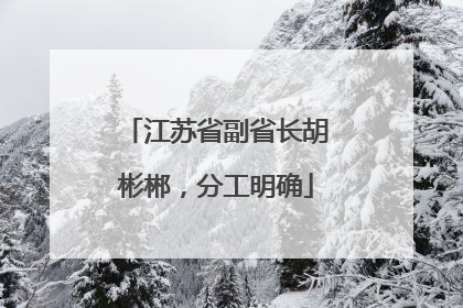 江苏省副省长胡彬郴，分工明确