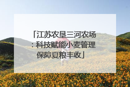 江苏农垦三河农场：科技赋能小麦管理保障夏粮丰收