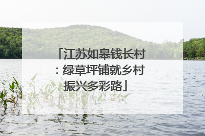 江苏如皋钱长村：绿草坪铺就乡村振兴多彩路