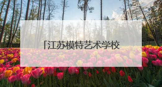 江苏模特艺术学校创新校地合作，助力地方文旅发展 一所职校带旺一个街区
