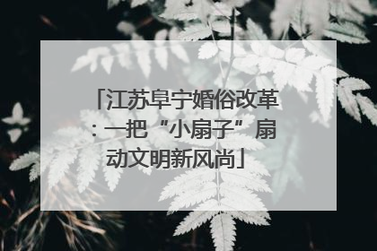 江苏阜宁婚俗改革：一把“小扇子”扇动文明新风尚