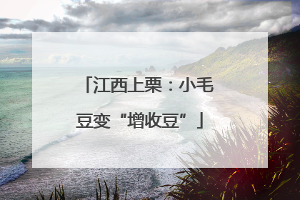 江西上栗：小毛豆变“增收豆”